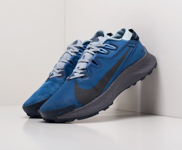 Nike Pegasus Trail 2 серые. Вид 1 Nike Pegasus Trail 2 серые. Вид 1