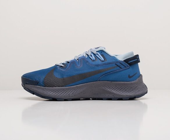 Nike Pegasus Trail 2 серые. Вид 2 Nike Pegasus Trail 2 серые. Вид 2